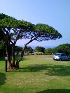 ファイル 24-1.jpg