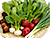 西岡農園のホームページです。安全健康…本当においしい野菜をお届けいたします。