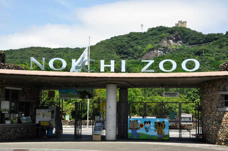 高知 県立 の いち 動物 公園