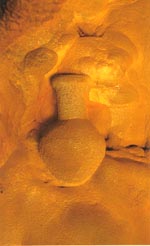 古代人の壷