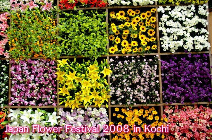 Japan Flower Festival 2008 in Kochi