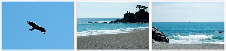 桂浜の風景　写真